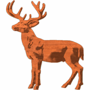 Buck_37x43_1